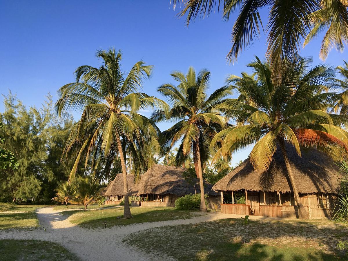 Emayani Beach Lodge Pangani Extérieur photo