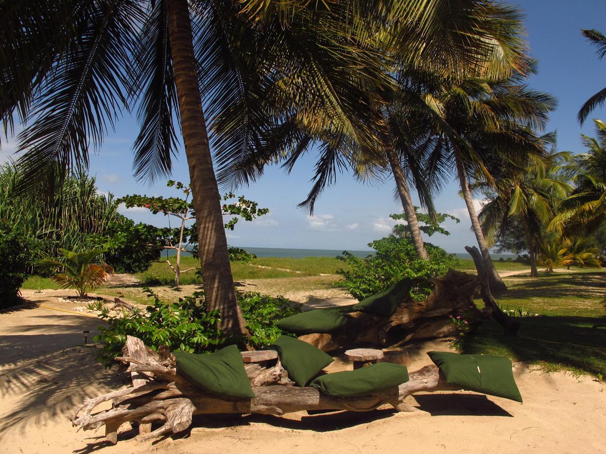 Emayani Beach Lodge Pangani Extérieur photo